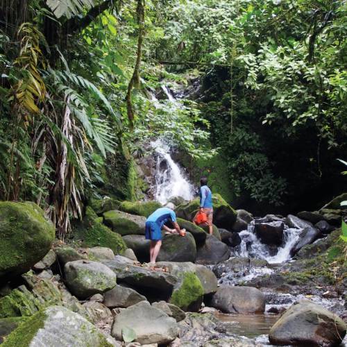 Rainforest trails near the Paquare river camp, Costa Rica