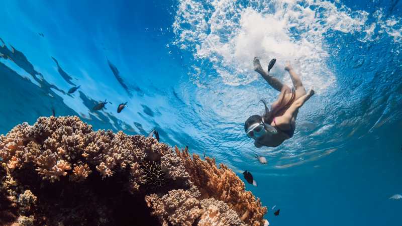 Snorkelling in the clear waters of Costa Rica