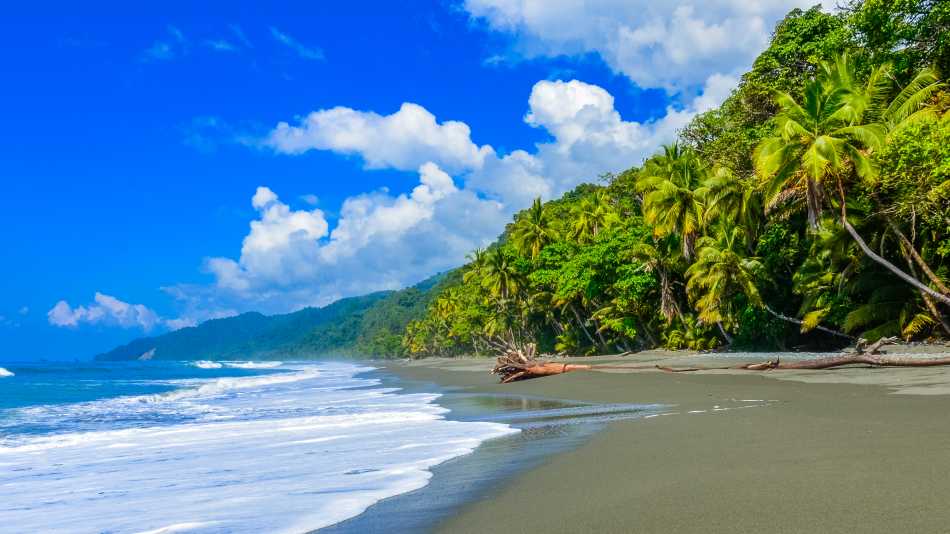 Untouched beaches of Golfo Dulce