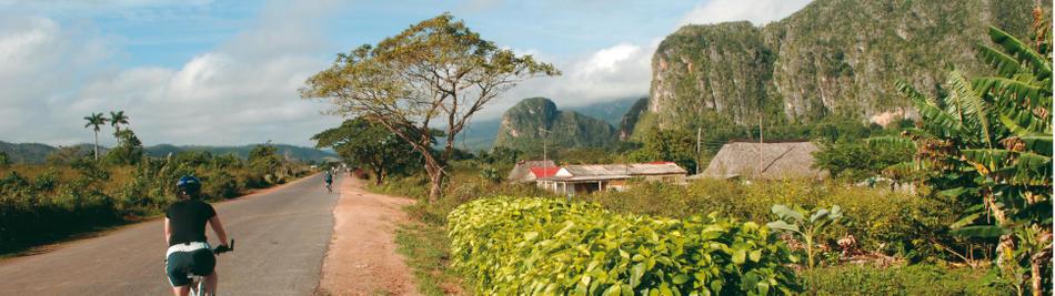 Cycling through the verdant Vinales Valley in Cuba -  Photo: Carlie Ballard