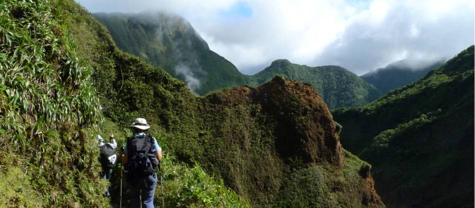 The Best of Kauai Sightseeing Tour - Virgin Experience Gifts