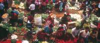 The colourful local market | Andreas Holland