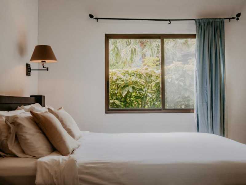 HBP - Golden Frog Inn 313575856
