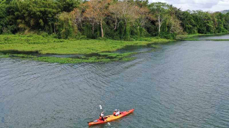 Enjoy a day kayaking the Chagres River watershed in the Panama Canal
