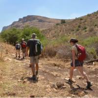 Walking in Galilee's Valley of Doves