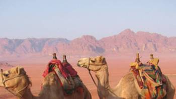 The best way to get around in the desert is by camel, Jordan
