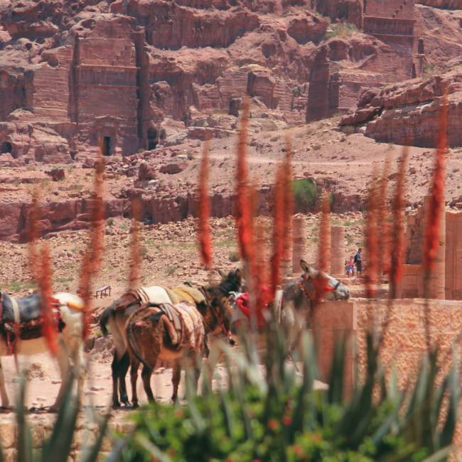 The ruins at Petra | Rachel Imber