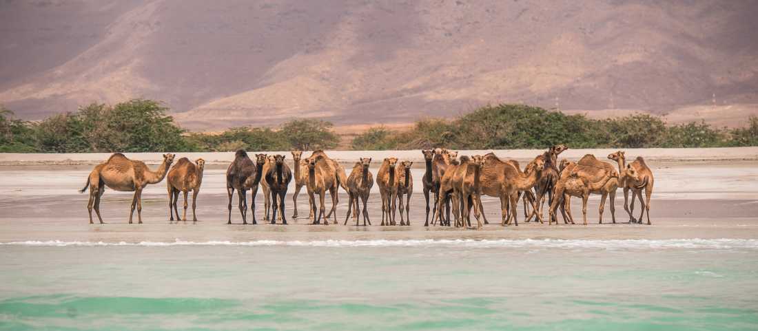 Salalah, Oman