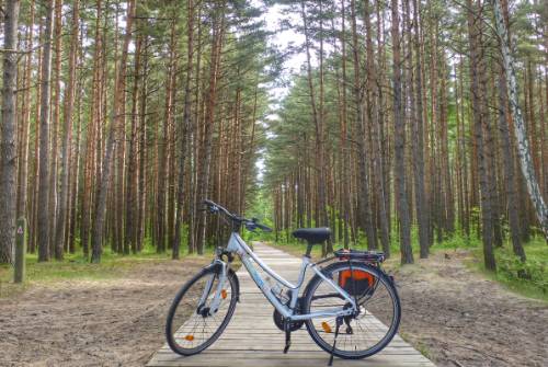 tourhub | UTracks | Lithuania and Poland Cycle 