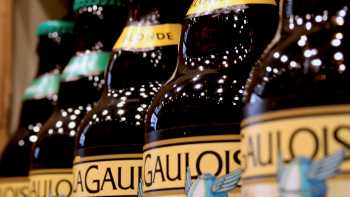 Local beer in Brussels | Julia Xiao