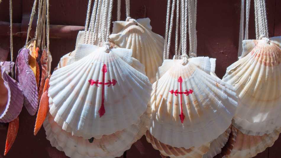 Camino de Santiago shells