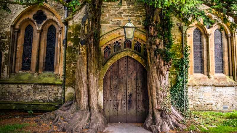 When nature and architecture combine | Tim Charody