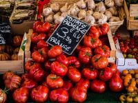 Market fresh tomatoes