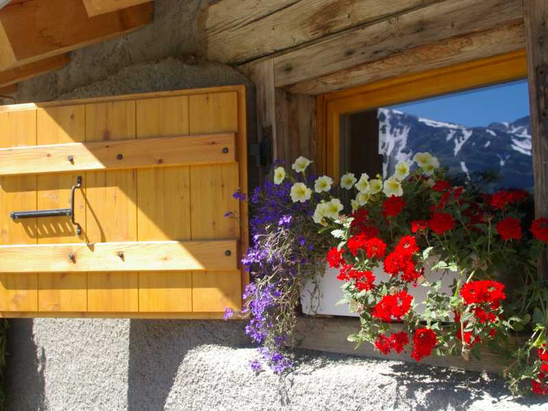 Room With a View, Tour du Mont Blanc | Linda Munns