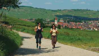 Walkers in Alsace