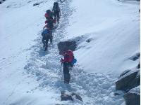 Walking tracks, Mont Blanc -  Photo: Neill Prothero