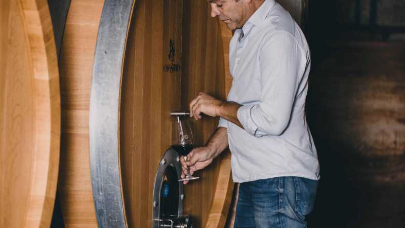 Wine tasting experience in Naples - Savor Italy: Parma to Naples with 2foodtrippers, Italy