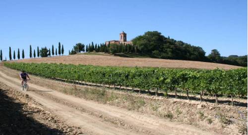 tourhub | Walkers' Britain | Cycle the Wine Regions of Tuscany 