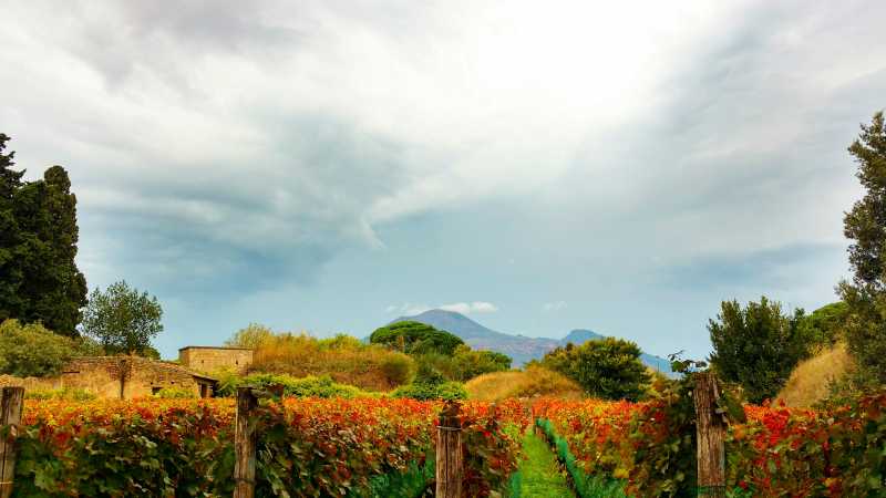 Where fertile vineyards meet the shadow of Mount Vesuvius. - Savor Italy: Parma to Naples with 2foodtrippers, Italy