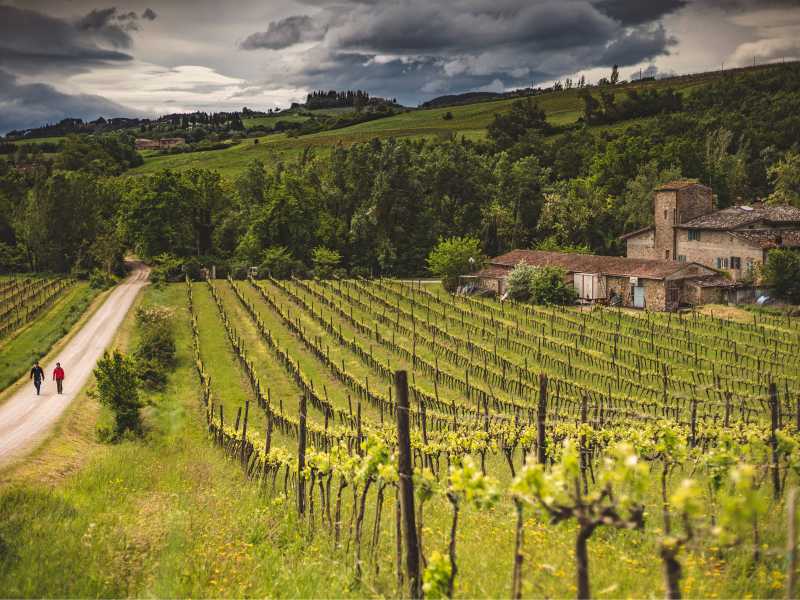 Walkers take in the typical Tuscan landscape on the Via Francigena | Tim Charody