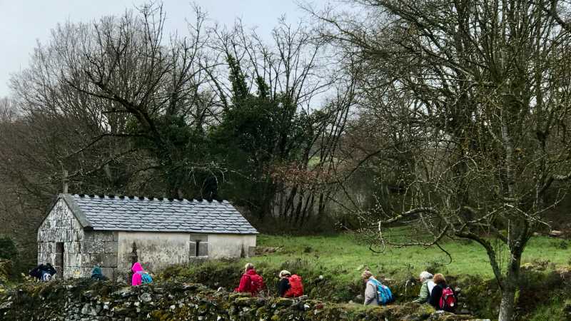 Walking the green fields of the Camino with Dr Stephanie Dale | Dr Stephanie Dale