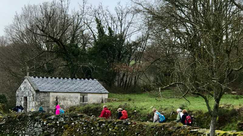 Walking the green fields of the Camino with Dr Stephanie Dale - Walk & Write the Camino with Dr Stephanie Dale, Spain