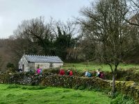 Walking the green fields of the Camino with Dr Stephanie Dale |  Dr Stephanie Dale