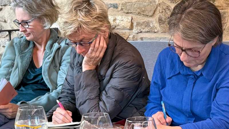 Writing on the Camino with Dr Stephanie Dale | Dr Stephanie Dale