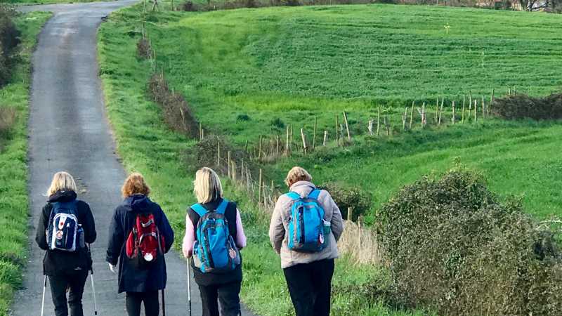 Pilgrims walking in green Galicia - Walk & Write the Camino with Dr Stephanie Dale, Spain