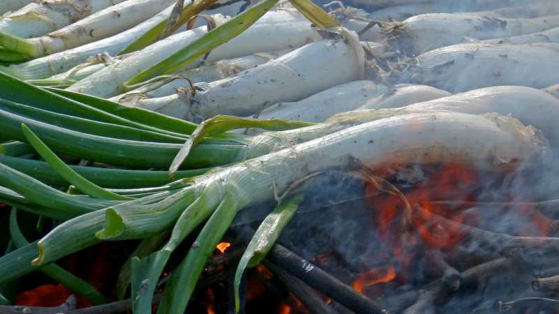 The traditional Catalonian dish of calcotada
