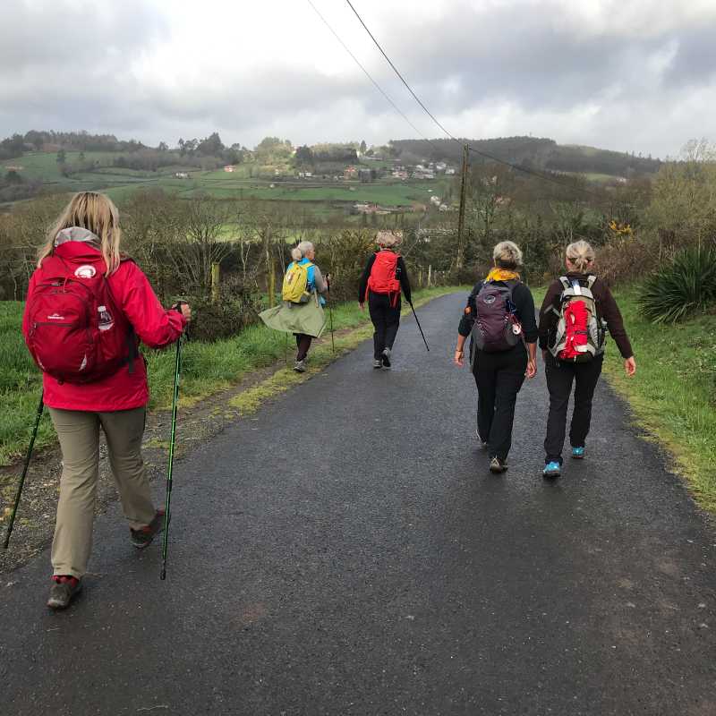 Group walking & writing their way to Santiago with Stephanie Dale | Stephanie Dale