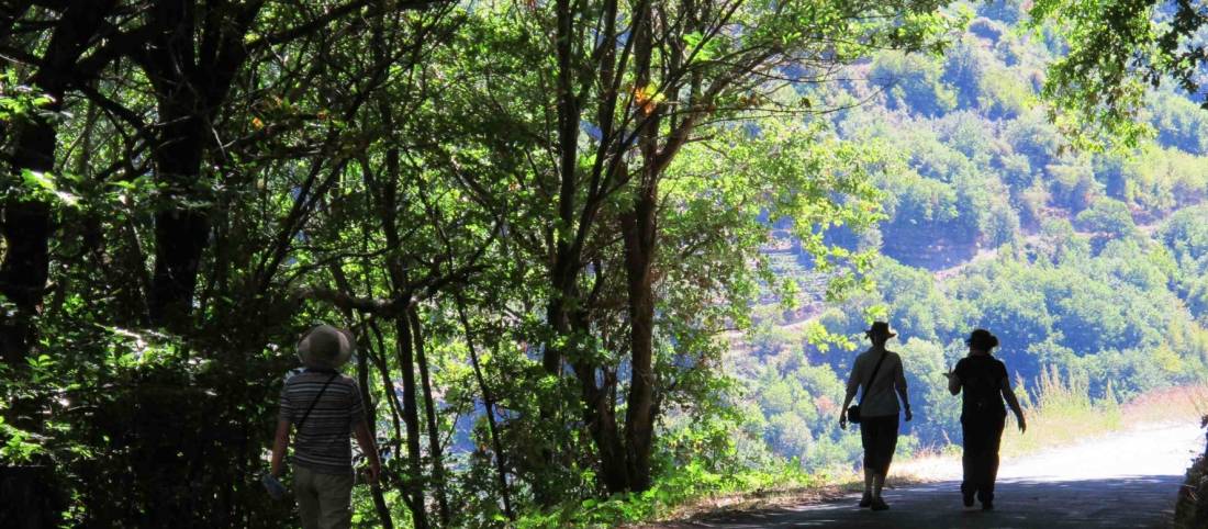 Walking in the Ribeira Sacra wine growing region of Galicia |  <i>Andreas Holland</i>