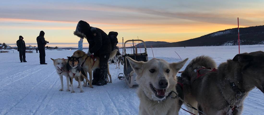 Dogsledding is one of the highlights of an Arctic adventure |  <i>Kate Baker</i>