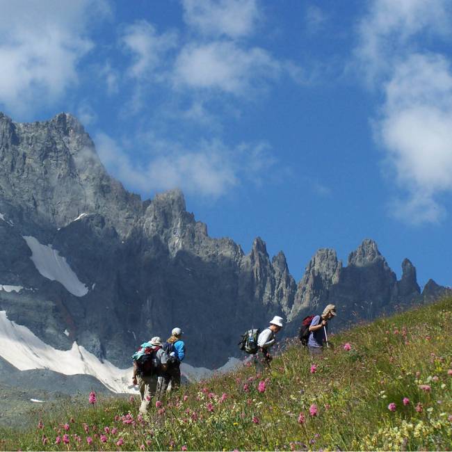 Wildflowers, hikers and beautiful mountain scenery on the Kackar Mountains Trek