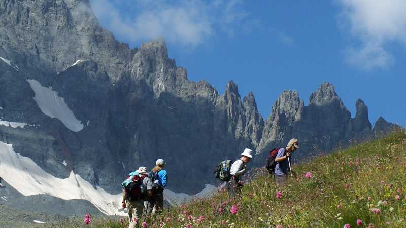 Wildflowers, hikers and beautiful mountain scenery on the Kackar Mountains Trek