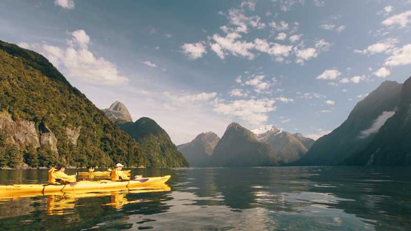 Kayaking in Milford Sound