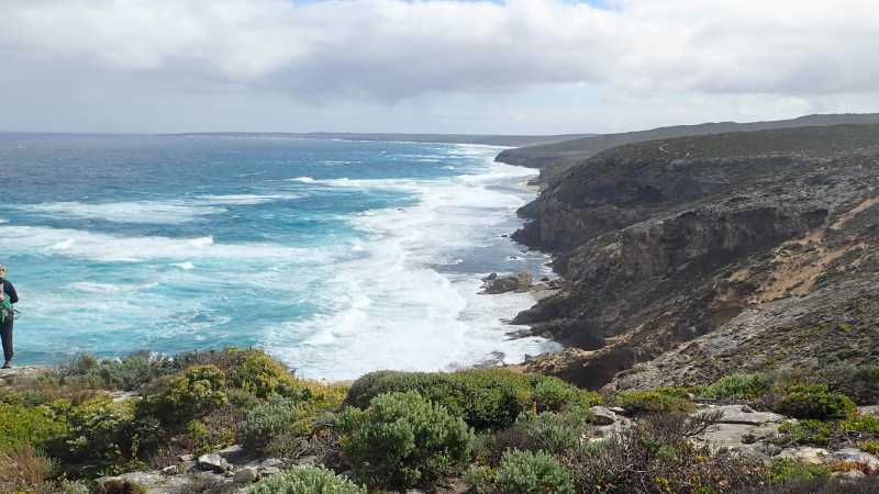 Walker on Kangaroo Island | Holly-Mae Bedford