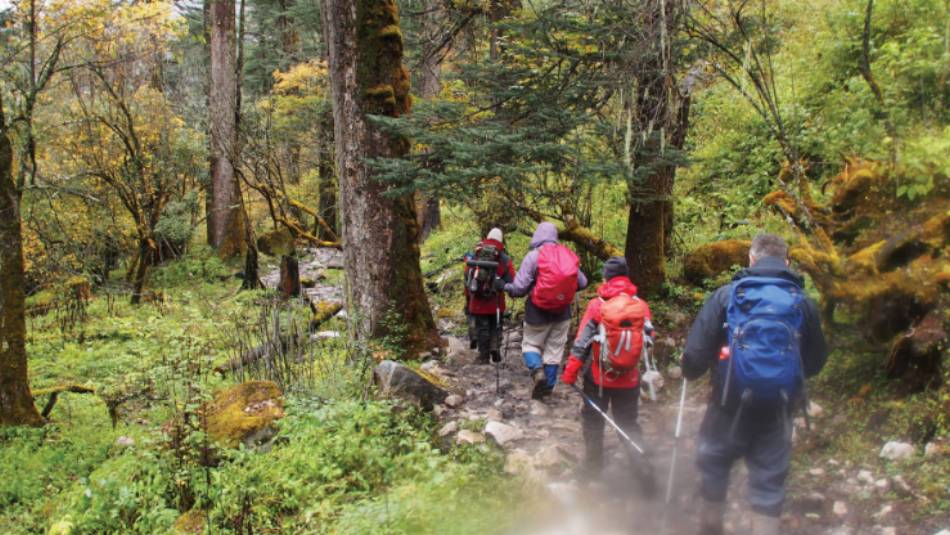 Forest trails of Bhutan | Scott Pinnegar