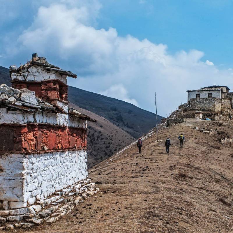 Walking the high trails near Laya | David Symonds