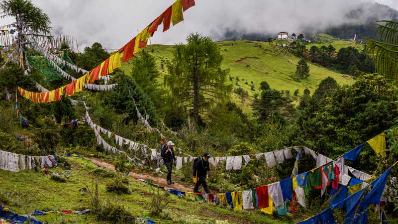 Druk Path Trek, Bhutan | Lachlan Gardiner
