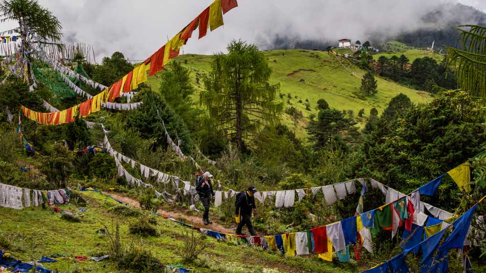 Druk Path Trek, Bhutan | Lachlan Gardiner