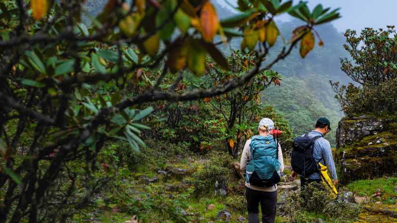 Druk Path Trek, Bhutan | Lachlan Gardiner