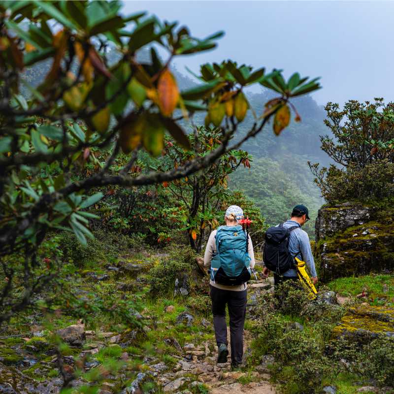Druk Path Trek, Bhutan | Lachlan Gardiner