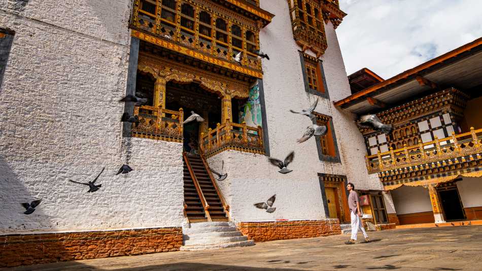 Punakha Dzong, Bhutan | Lachlan Gardiner