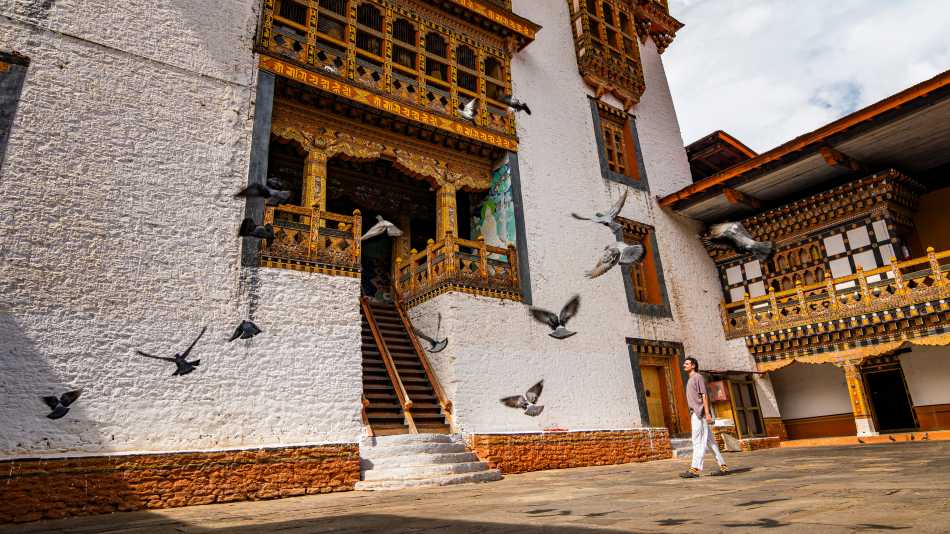 Punakha Dzong, Bhutan | Lachlan Gardiner