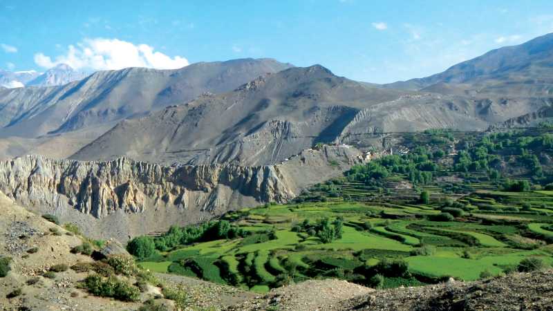 Breathtaking verdant landscape within Jhansye | Ray Mustey