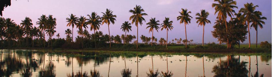 The Keralan backwaters of Southern India -  Photo: David Lazar