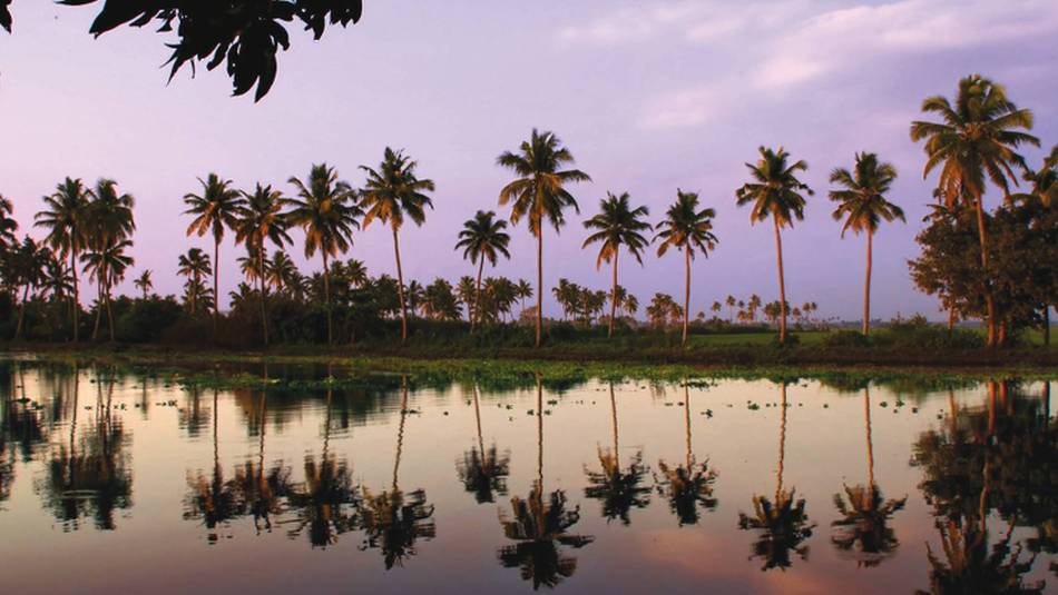 The Keralan backwaters of Southern India | David Lazar