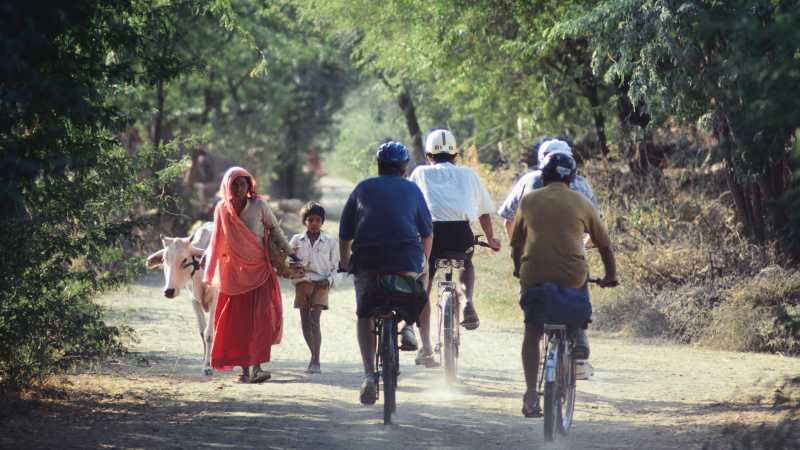 Quiet country lanes in Rajasthan | Richard I'Anson
