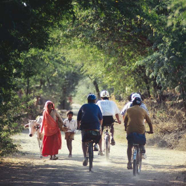 Quiet country lanes in Rajasthan | Richard I'Anson